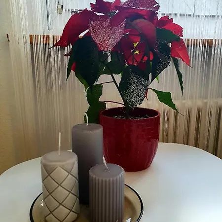 Flowerroom Con Bagno Privato Affittacamere *