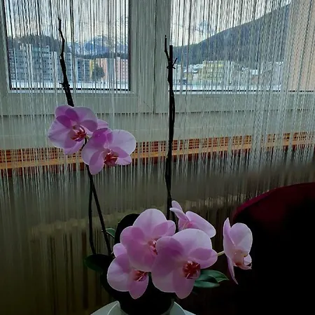 Flowerroom Con Bagno Privato Sankt Moritz