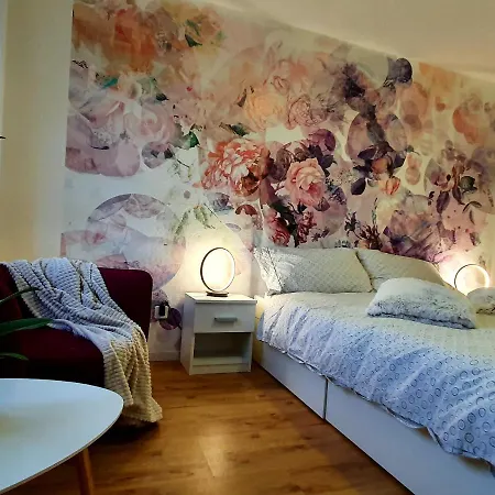 Flowerroom Con Bagno Privato St. Moritz