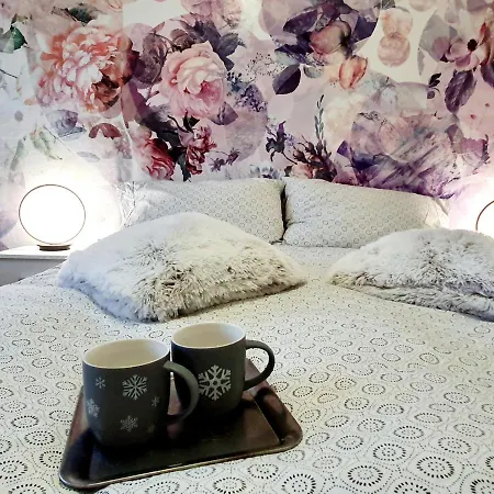 Affittacamere Flowerroom Con Bagno Privato *
